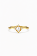 The Daisy Ring